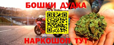крисы Бийск