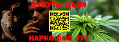 крисы Бийск