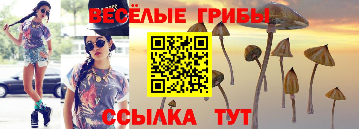 Галлюциногенные грибы MAGIC MUSHROOMS  Вход с VPN  Зима  Псилоцибиновые грибы мухоморы 